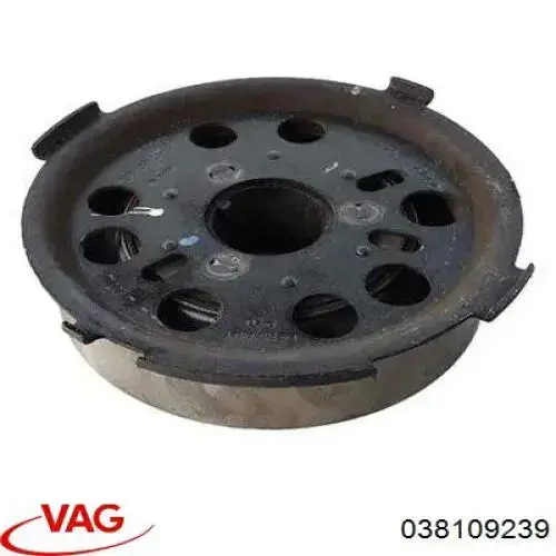 Compre 038109239 VAG Flange de engrenagem da árvore distribuidora