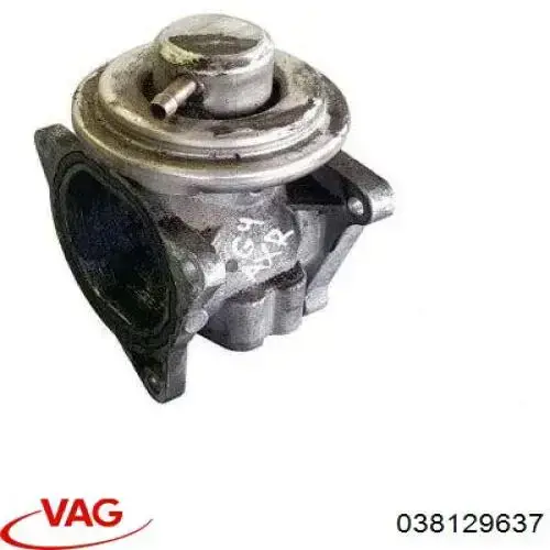 038129637 VAG Válvula EGR de recirculação dos gases