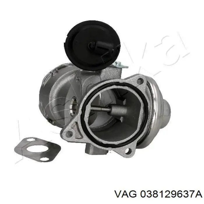 Compre 038129637A VAG Vedante de válvula EGR de recirculação