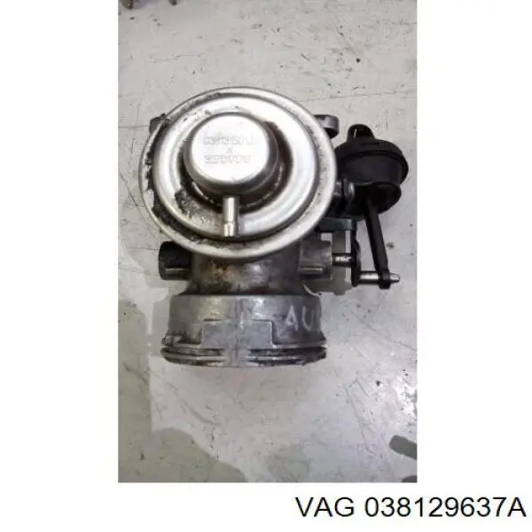 Vedante de válvula EGR de recirculação 038129637A VAG