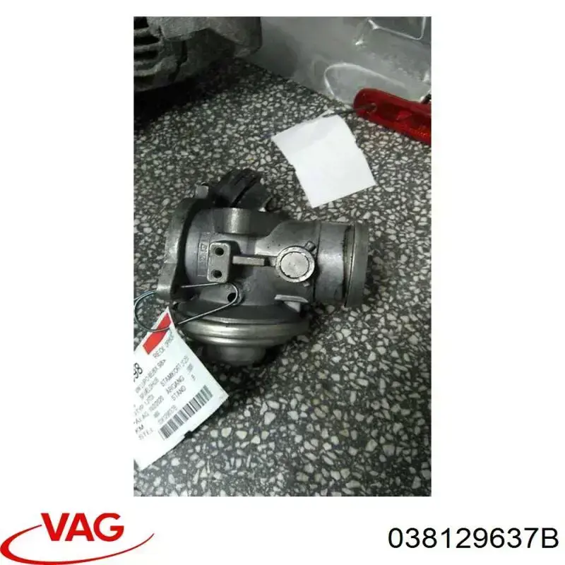 038129637B VAG Válvula EGR de recirculação dos gases