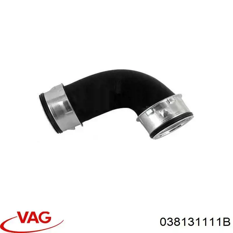 038131111B VAG 