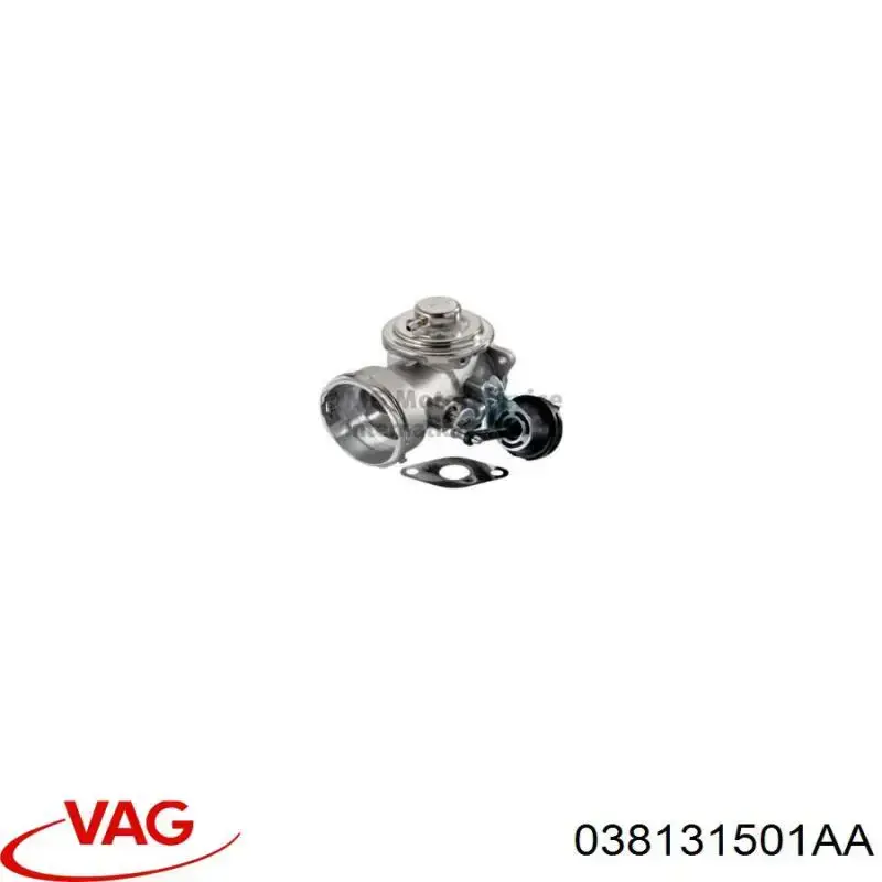 Compre 038131501AA VAG Válvula EGR de recirculação dos gases