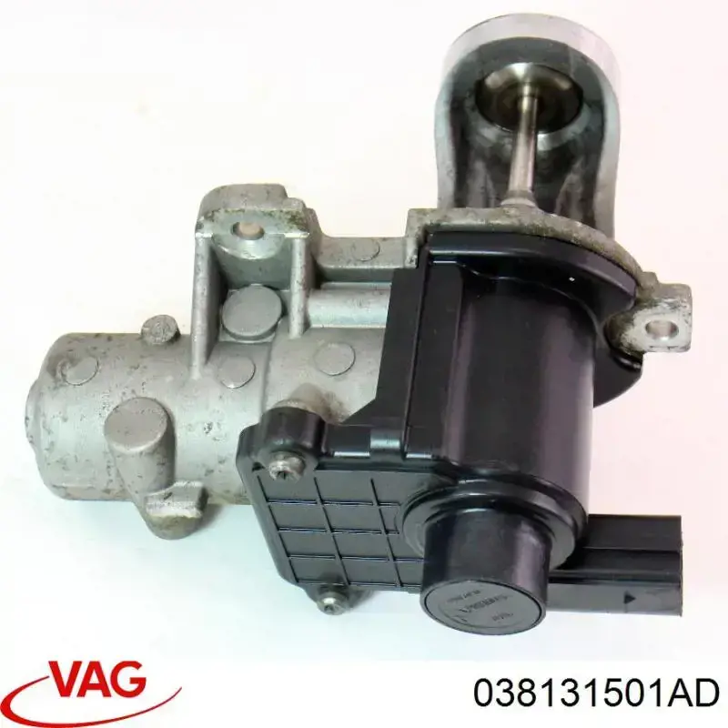 038131501AD VAG Válvula EGR de recirculação dos gases