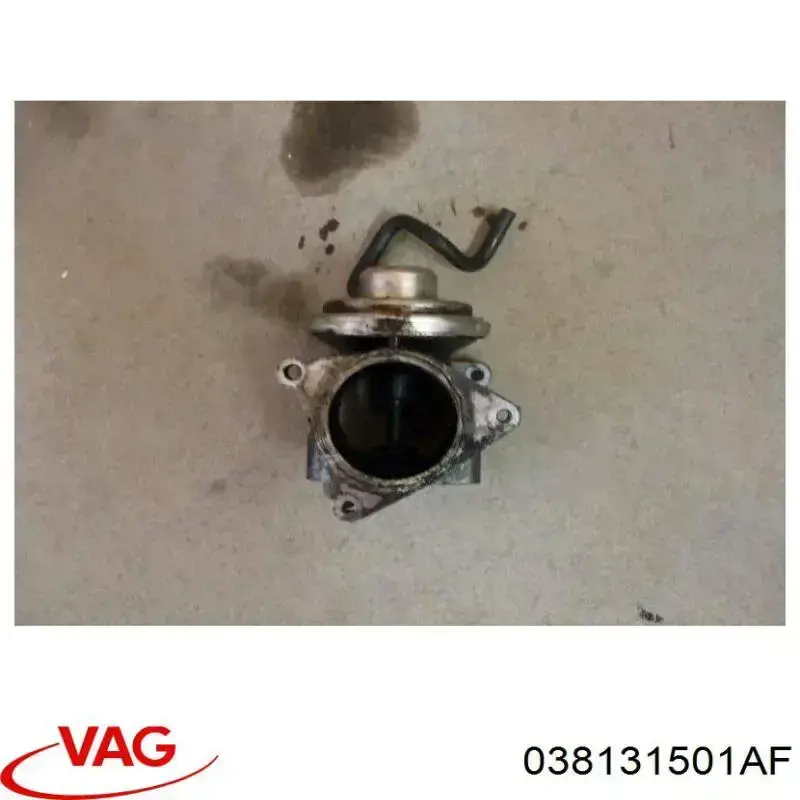Compre 038131501AF VAG Válvula EGR de recirculação dos gases
