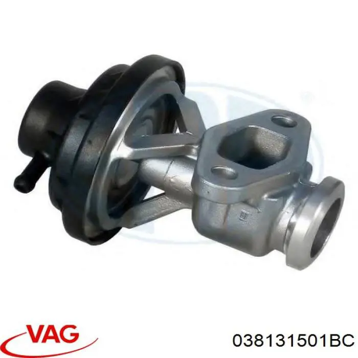 038131501BC VAG Válvula EGR de recirculação dos gases