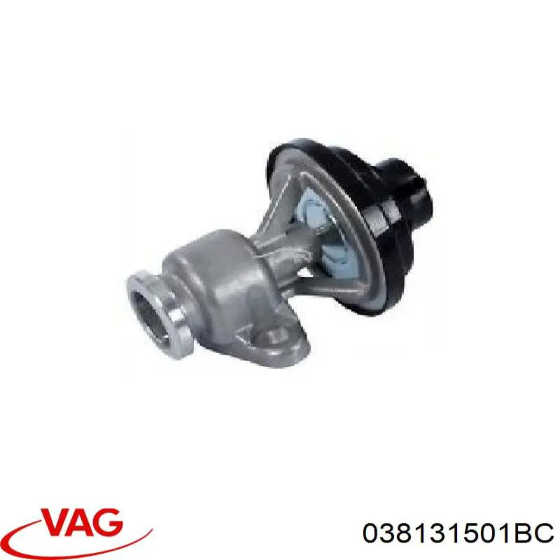 Compre 038131501BC VAG Válvula EGR de recirculação dos gases