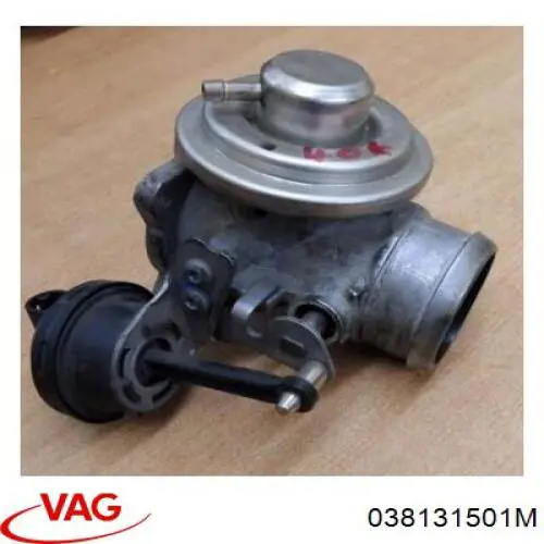 038131501M VAG Válvula EGR de recirculação dos gases