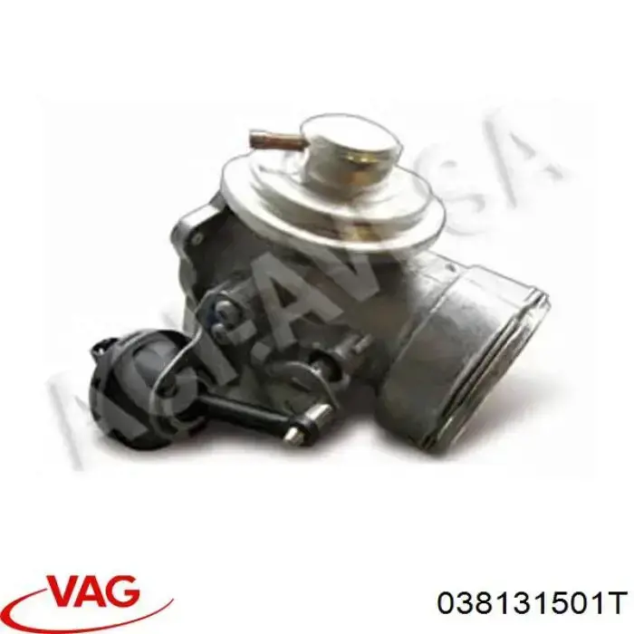 038131501T VAG Válvula EGR de recirculação dos gases