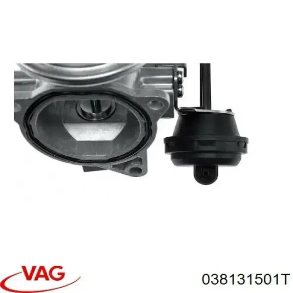 Compre 038131501T VAG Válvula EGR de recirculação dos gases