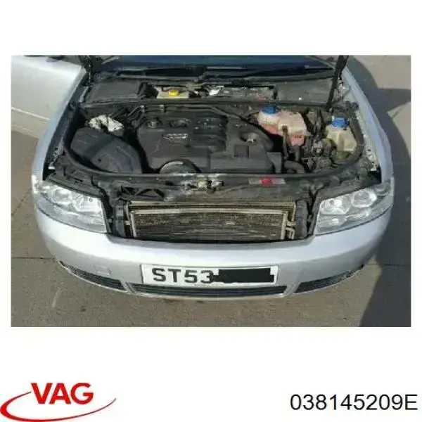 Compre 038145209E VAG Bomba de combustível de tandem