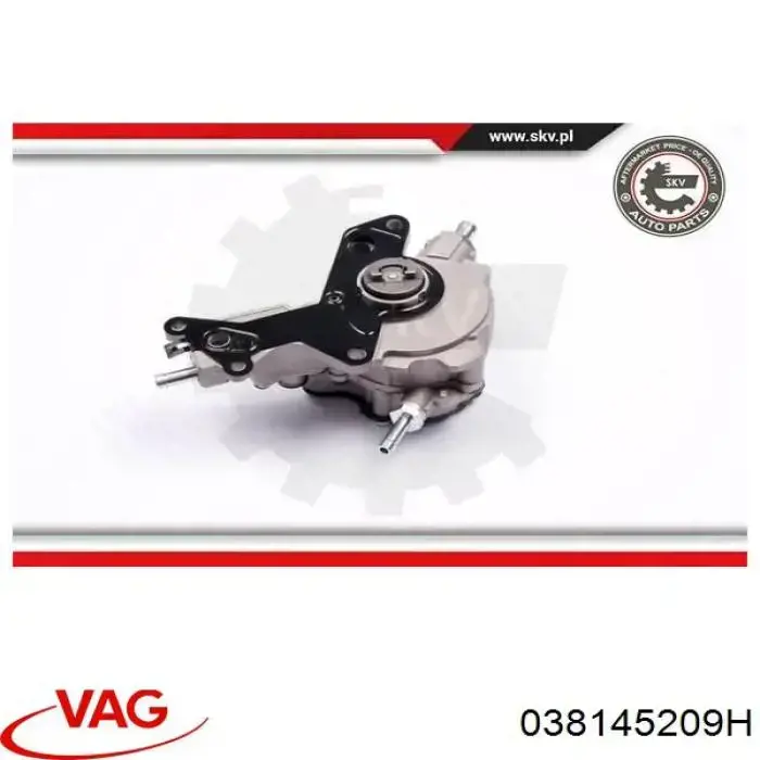 Compre 038145209H VAG Bomba de combustível de tandem
