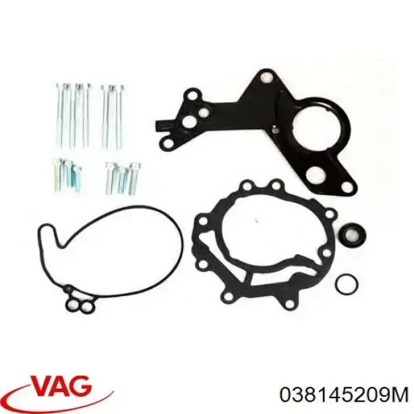 Compre 038145209M VAG Bomba de combustível de tandem