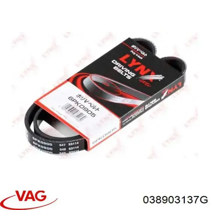 Compre 038903137G VAG Correia dos conjuntos de transmissão