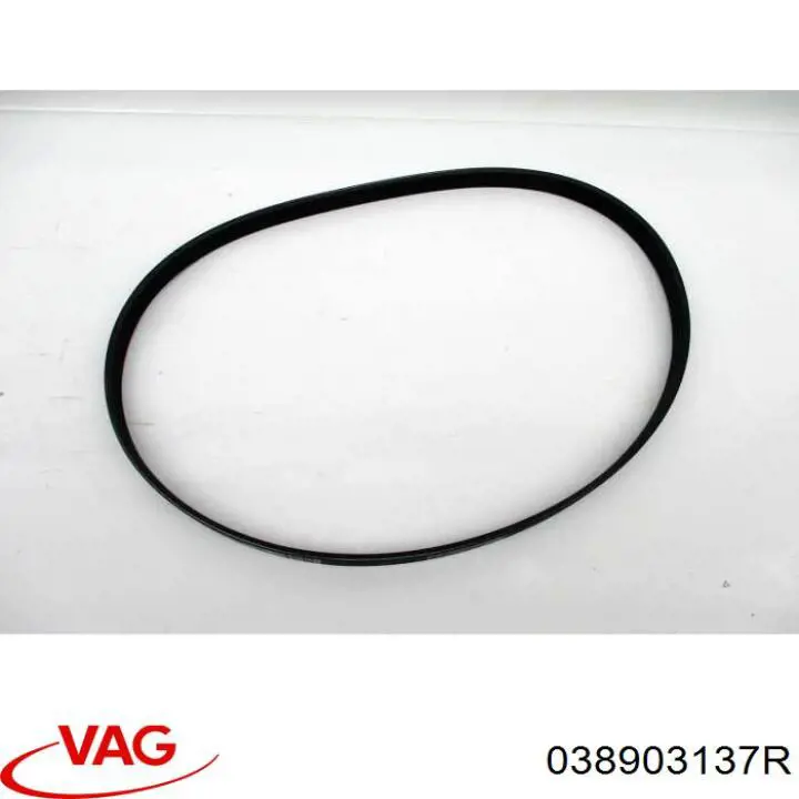 Compre 038903137R VAG Correia dos conjuntos de transmissão