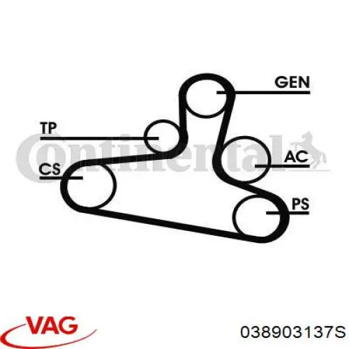 Compre 038903137S VAG Correia dos conjuntos de transmissão