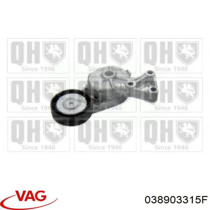 Compre 038903315F VAG Reguladora de tensão da correia de transmissão