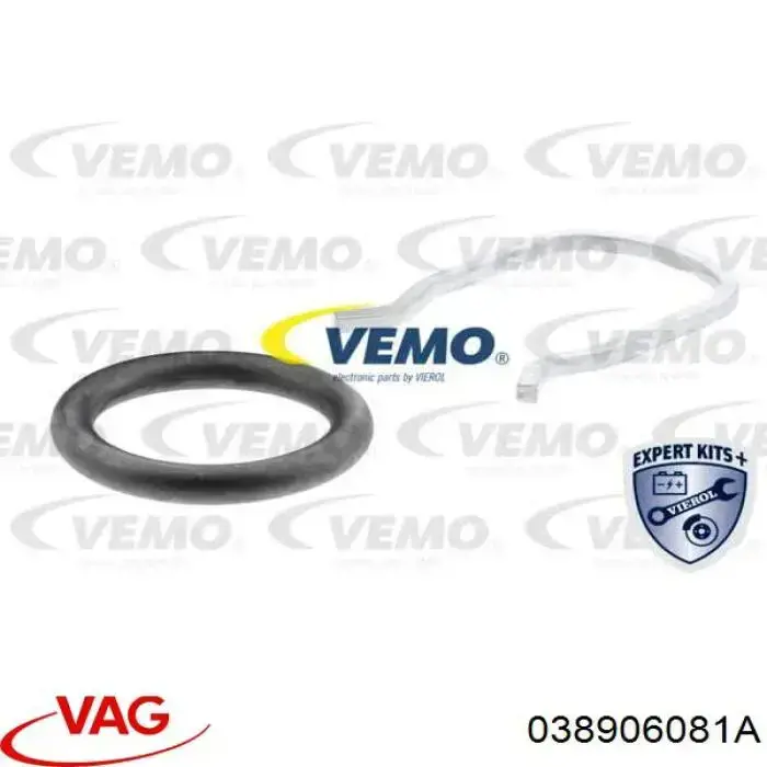 Compre 038906081A VAG Sensor de temperatura de combustível