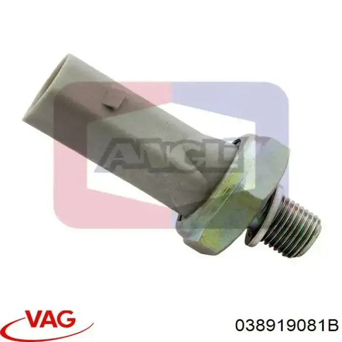 Compre 038919081B VAG Sensor de pressão de óleo