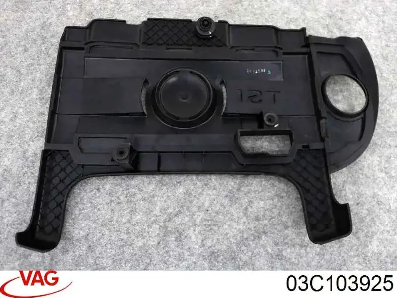  VAG 03C103925