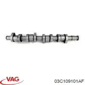 03C109101AF VAG Árvore distribuidora de motor de escape