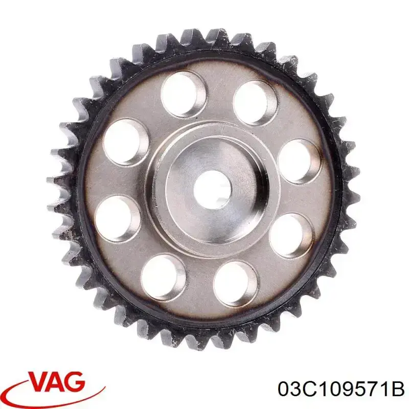Engrenagem de cadeia da roda dentada da árvore distribuidora de motor VAG 03C109571B preço, a partir de 31,45 USD