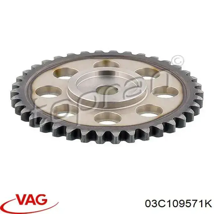 Engrenagem de cadeia da roda dentada da árvore distribuidora de motor VAG 03C109571K preço, a partir de 18,75 USD