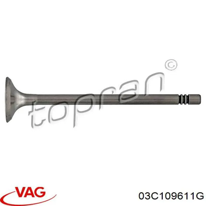 03C109611G VAG Válvula de escape