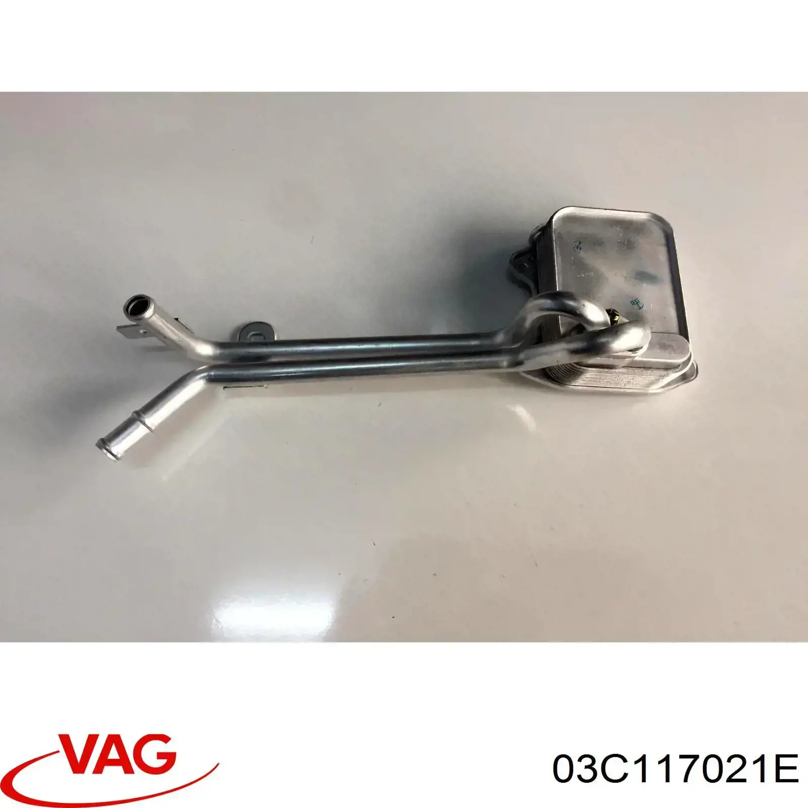 03C117021E VAG Radiador de óleo