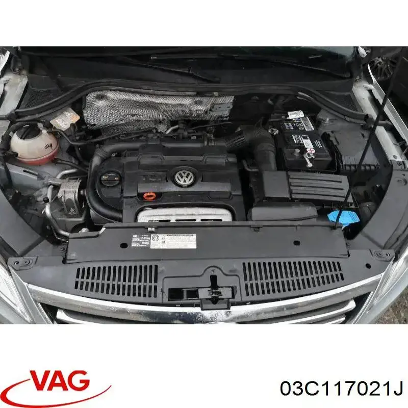 Compre 03C117021J VAG Radiador de óleo