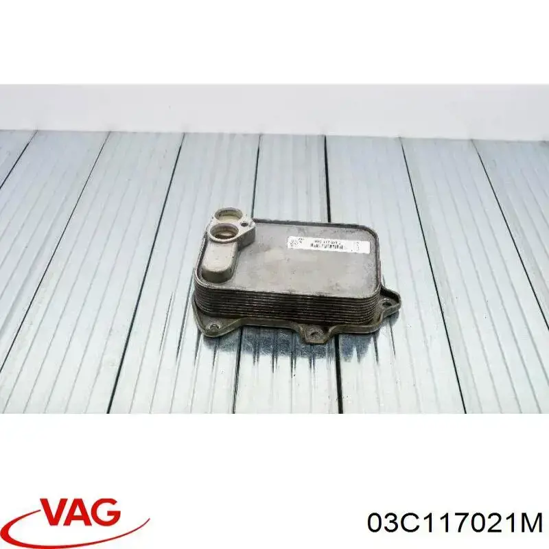 03C117021M VAG Radiador de óleo