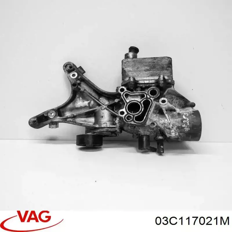 Compre 03C117021M VAG Radiador de óleo