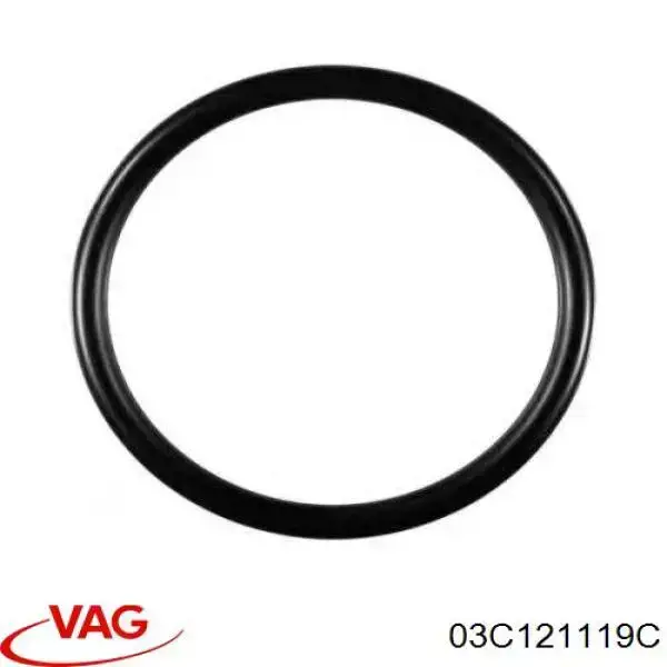 03C121119C VAG Vedante de caixa do termostato