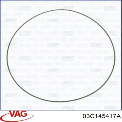 03C145417A VAG Vedante de tubo coletor de admissão