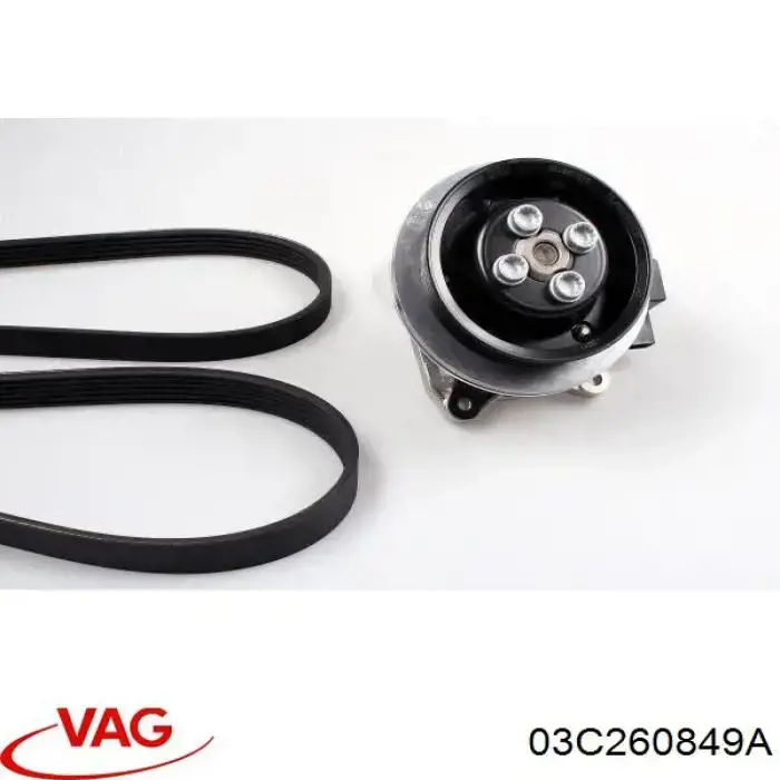03C260849A VAG Correia dos conjuntos de transmissão