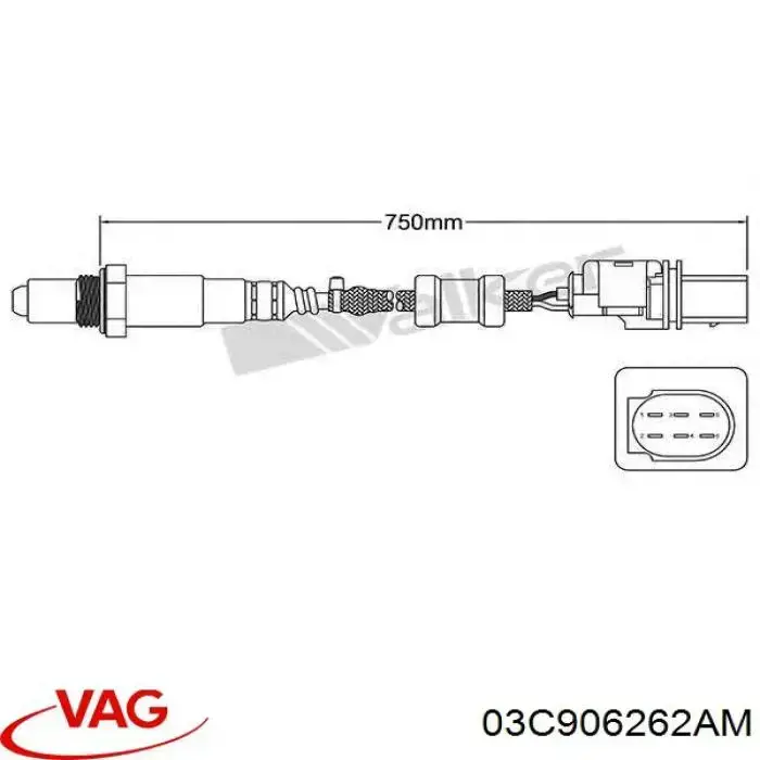 Compre 03C906262AM VAG Sonda lambda, sensor de oxigênio até o catalisador