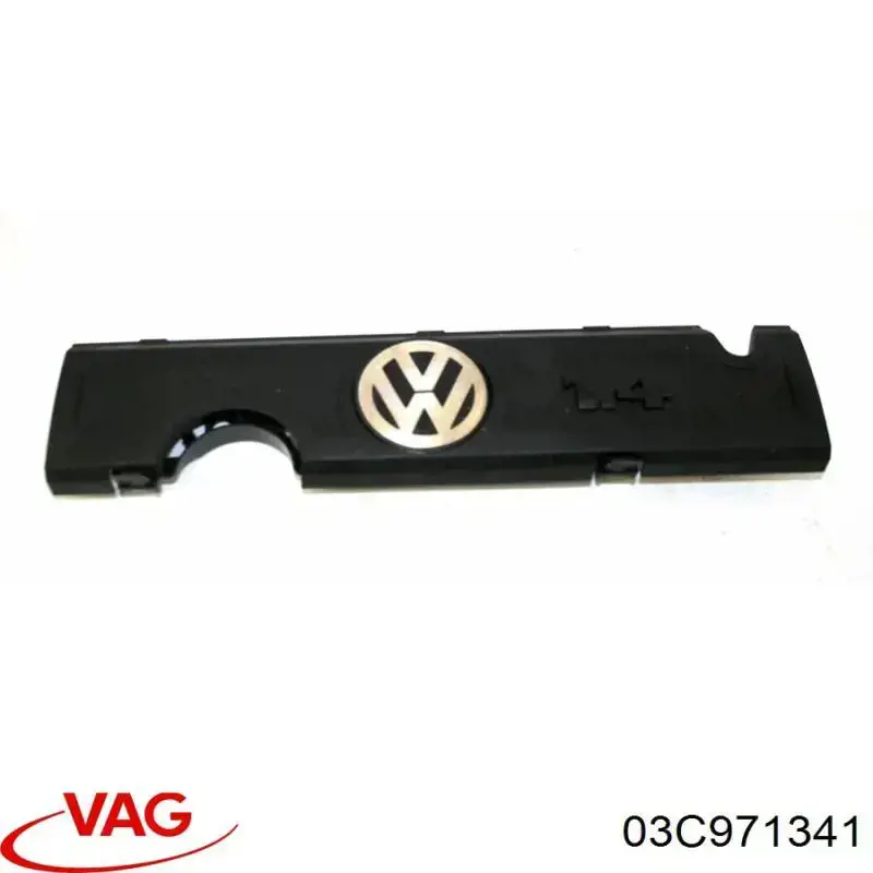 03C971047C VAG 