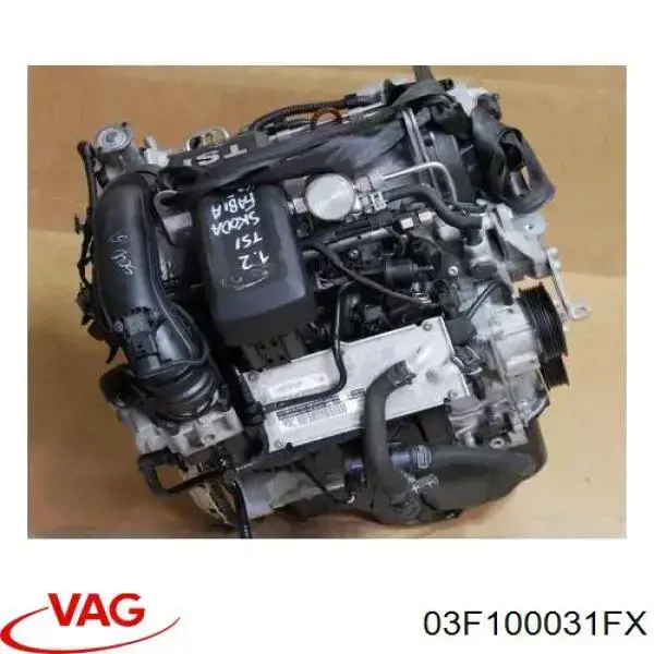 03F100031FX VAG Motor montado