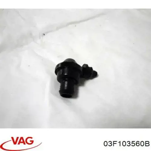 03F103560B VAG 