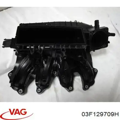 03F129709H VAG Tubo coletor de admissão