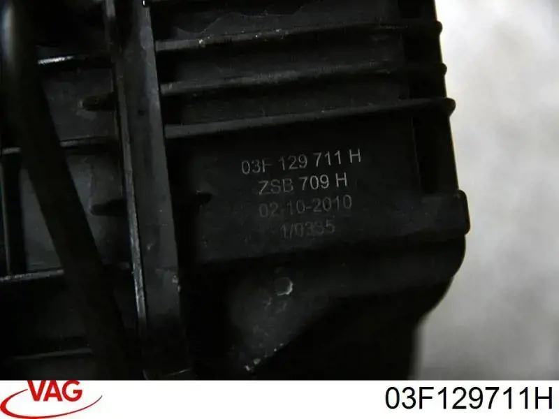 Compre 03F129711H VAG 