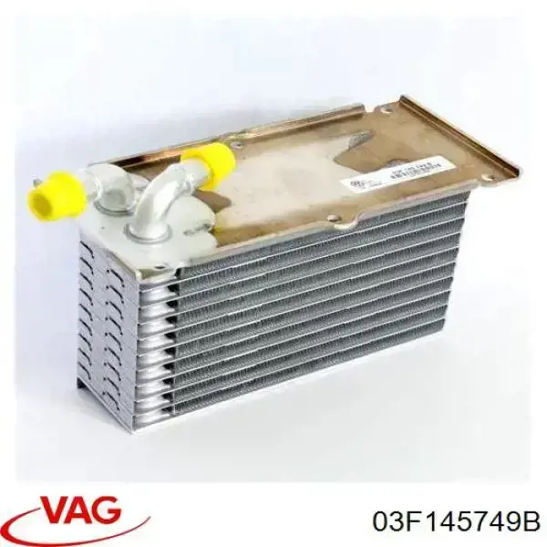 03F145749B VAG Radiador de óleo