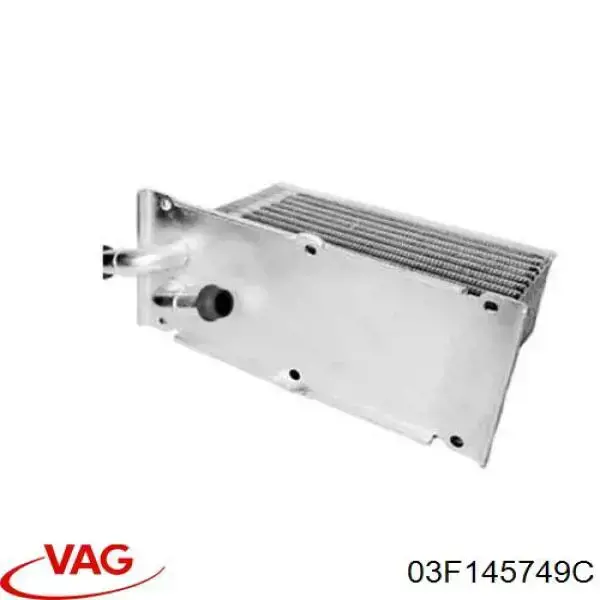 03F145749C VAG Radiador de óleo
