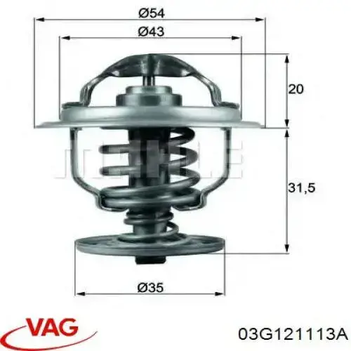 Compre 03G121113A VAG Termostato