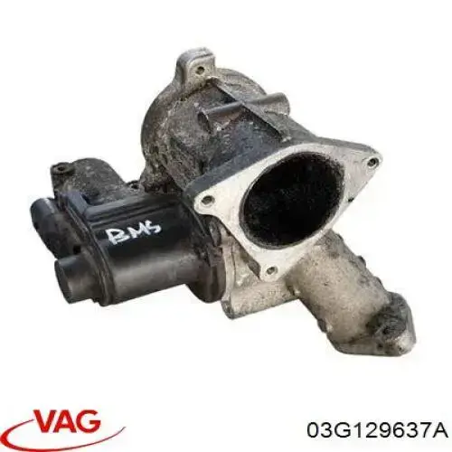 03G129637A VAG Válvula EGR de recirculação dos gases