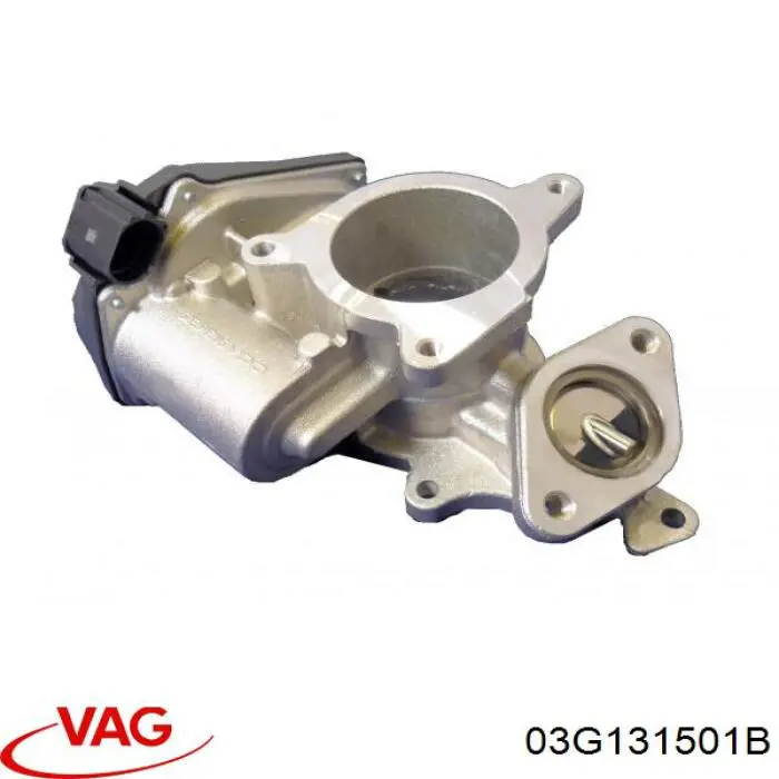 Compre 03G131501B VAG Válvula EGR de recirculação dos gases