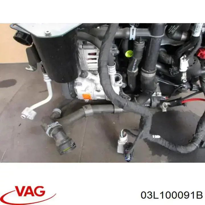 03L100091B VAG Motor montado