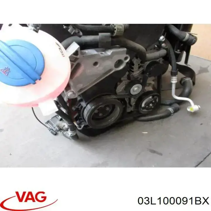 03L100091BX VAG Motor montado