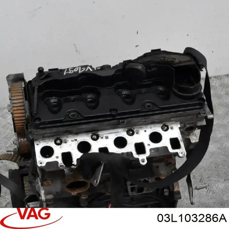 Compre 03L103286A VAG Cabeça de motor (CBC)
