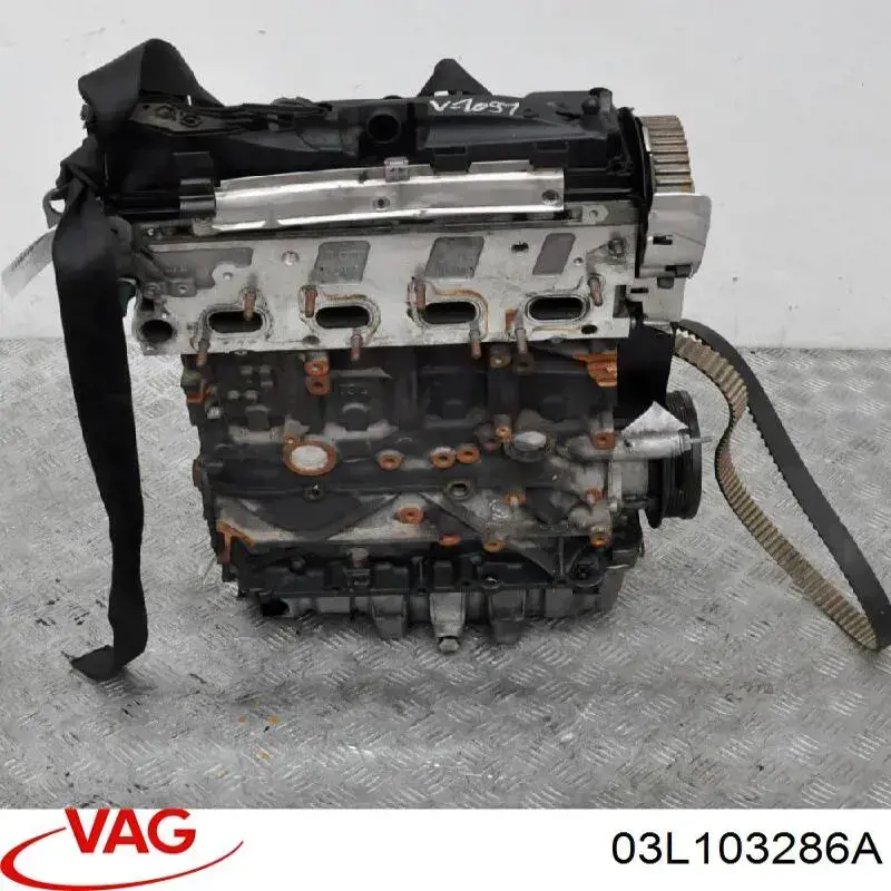 Cabeça de motor (CBC) 03L103286A VAG